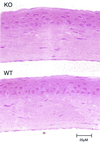 FIG. 5.