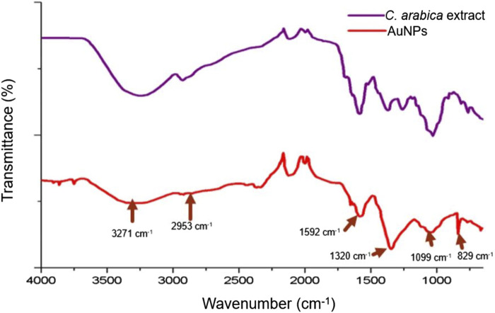 FIGURE 1