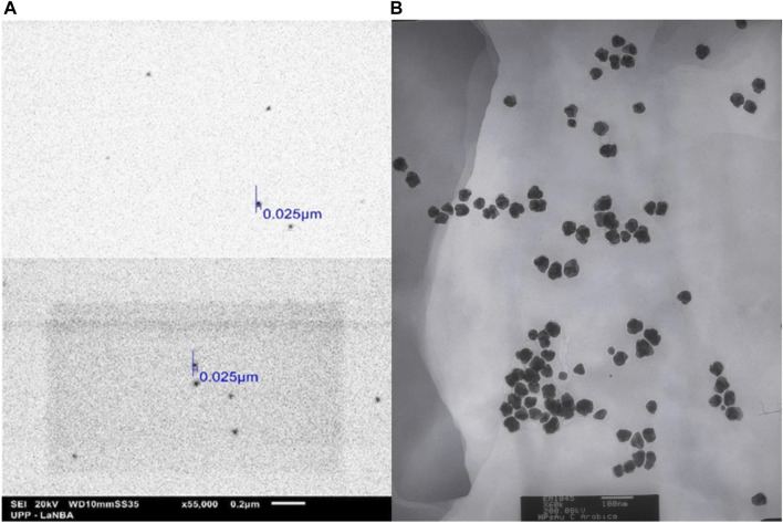 FIGURE 3