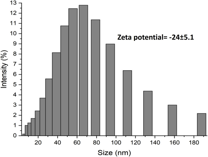 FIGURE 2