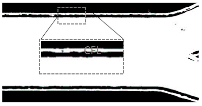 Figure 13