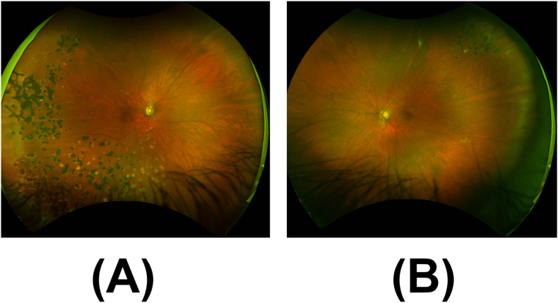 Fig. 7