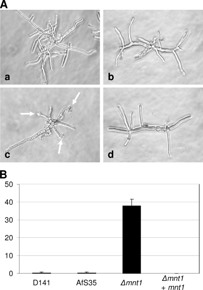 FIG. 6.