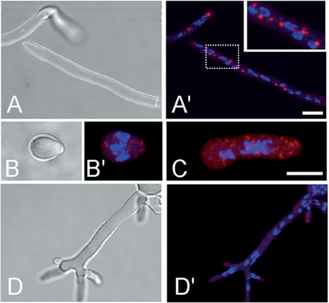 FIG. 9.