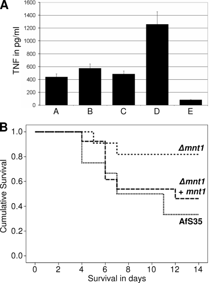 FIG. 11.