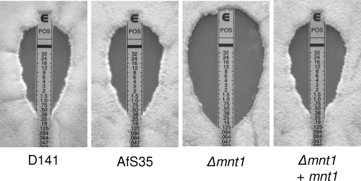 FIG. 10.