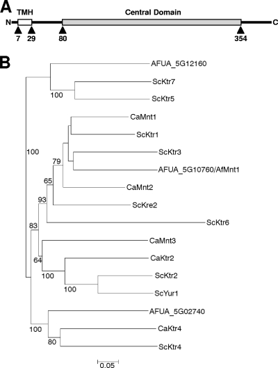 FIG. 1.