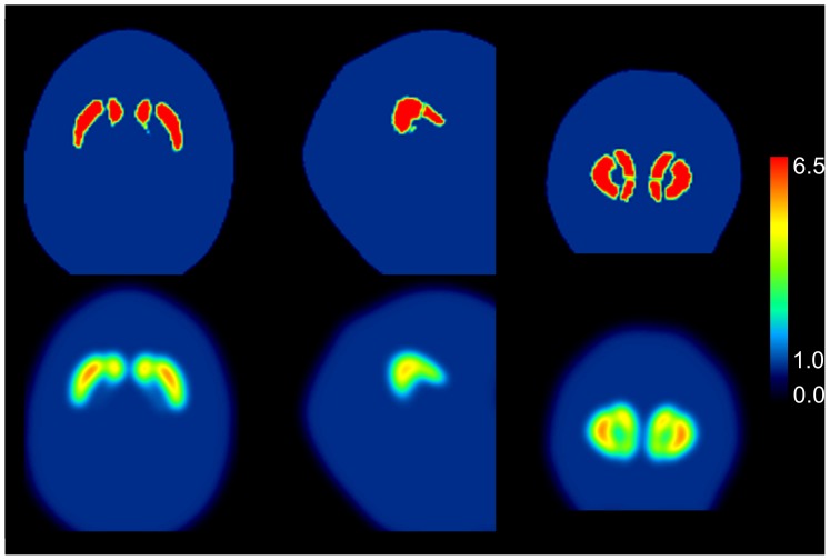 Figure 5