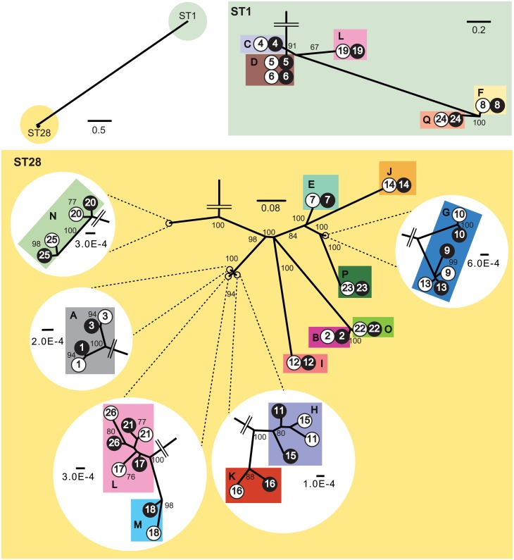 Fig 2