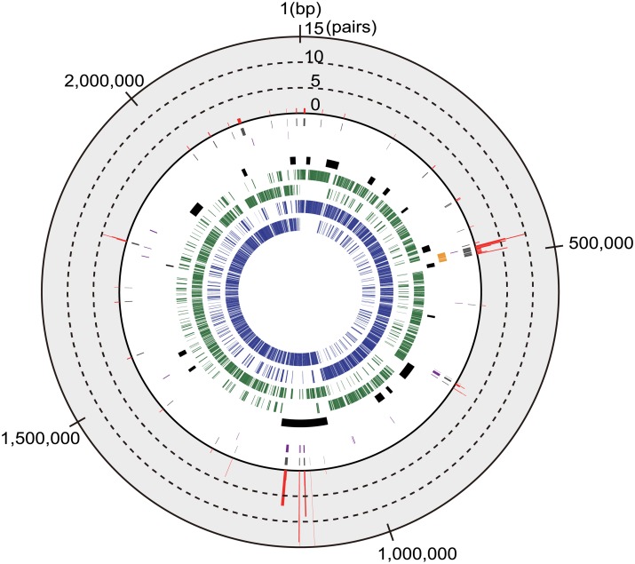 Fig 4