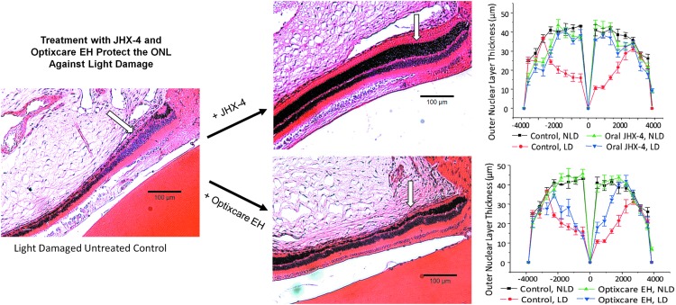 FIG. 8.