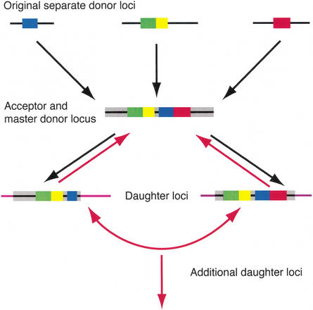 Figure 7.