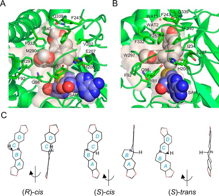 Figure 6.