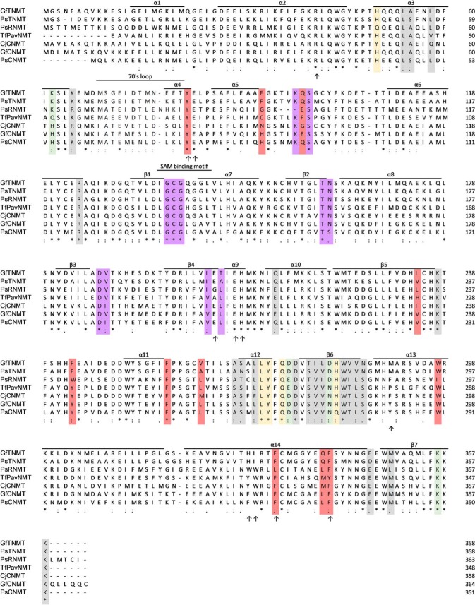 Figure 3.