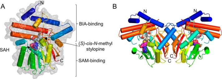 Figure 2.