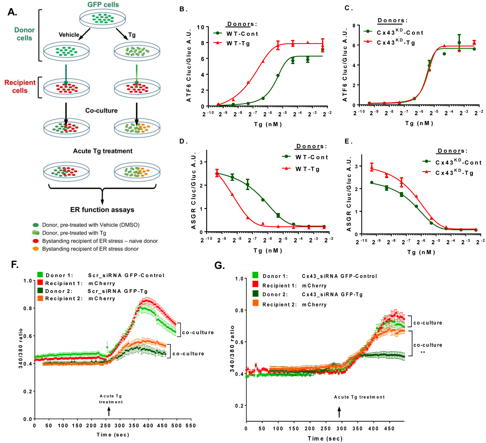 Figure 4: