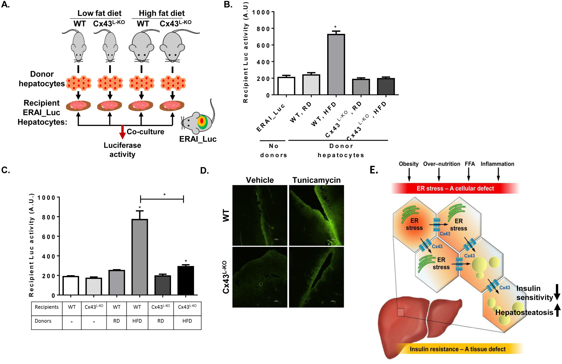 Figure 6: