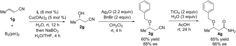 Scheme 2