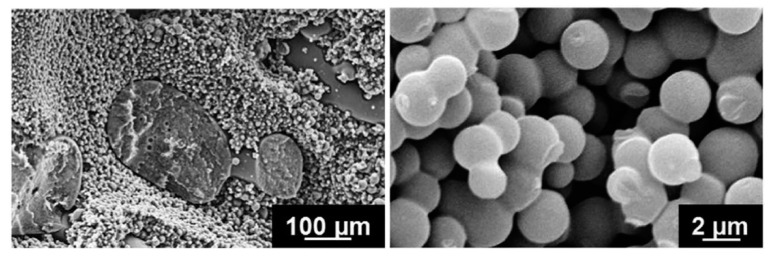 Figure 20