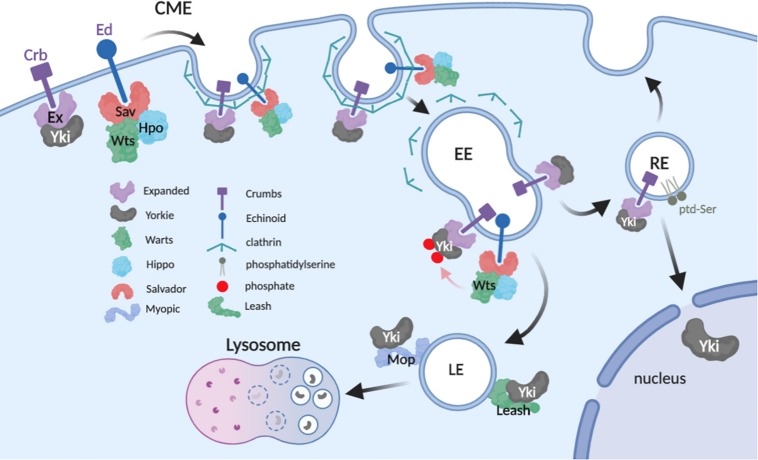 FIGURE 2