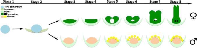 Fig. 9