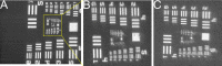 Figure 1—figure supplement 2.