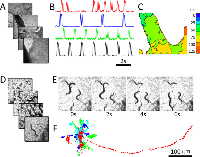 Figure 2.