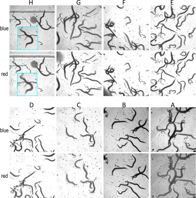 Figure 3—figure supplement 1.