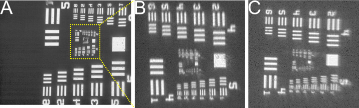 Figure 1—figure supplement 2.