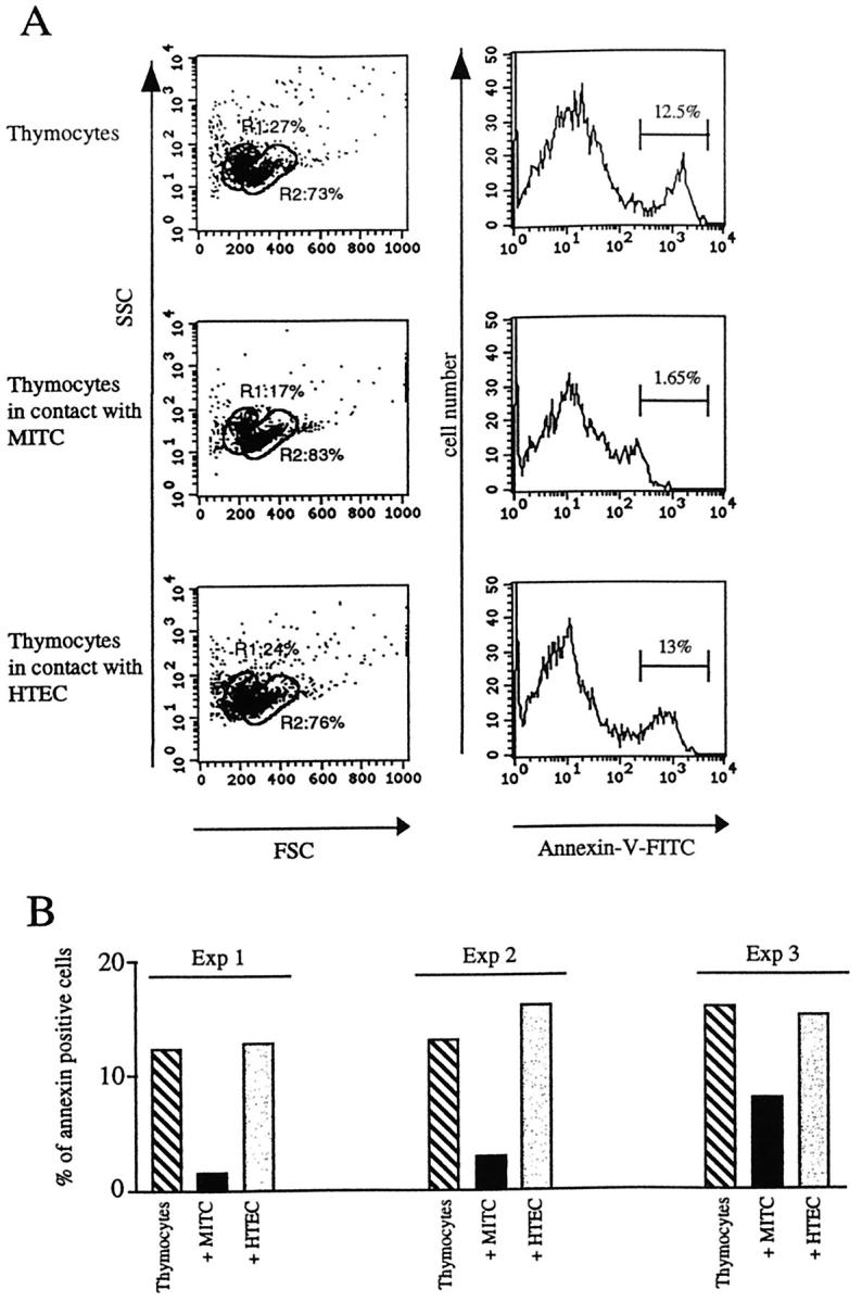 Figure 10.