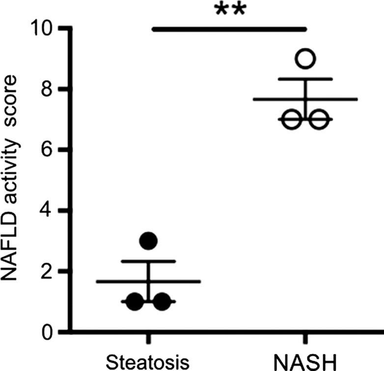 Figure 3e: