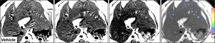 Figure 2b: