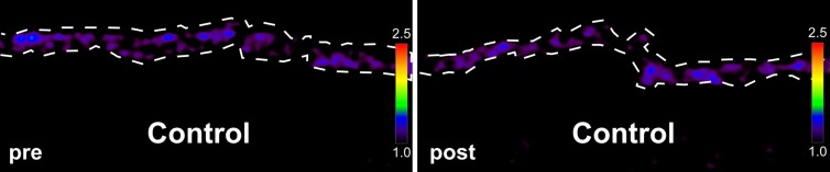 Figure 5b: