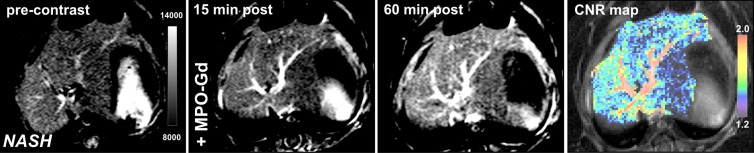 Figure 4a: