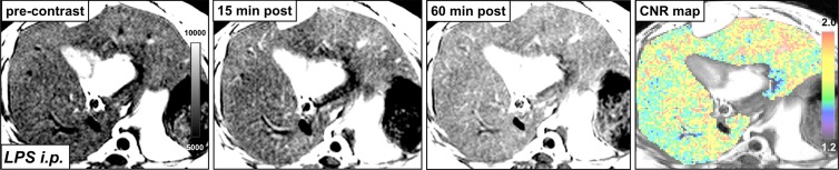 Figure 2a: