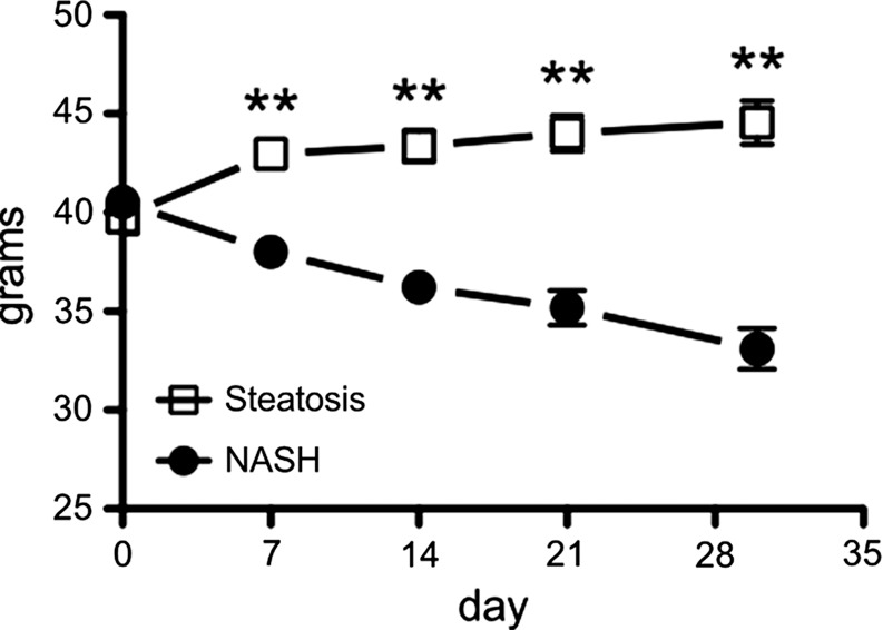 Figure 3c: