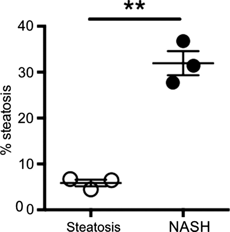 Figure 3b: