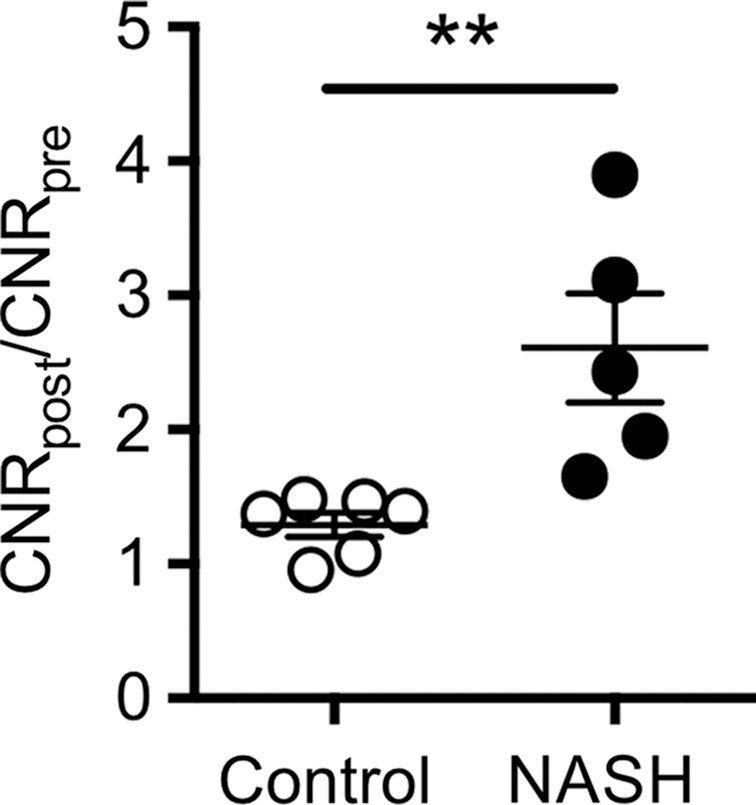 Figure 5c: