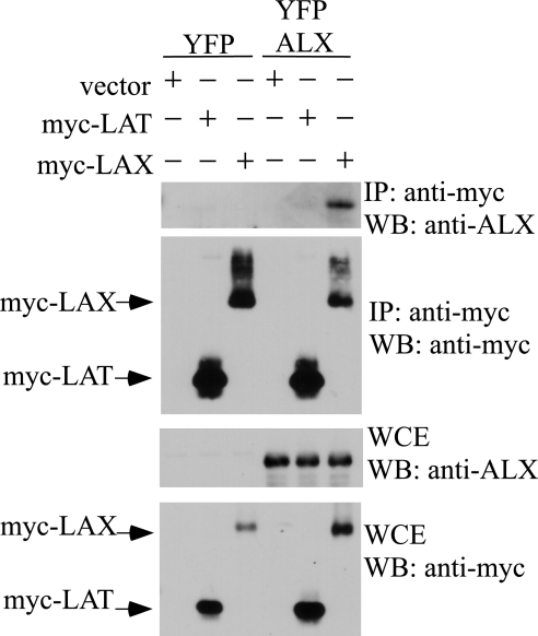 FIG. 8.