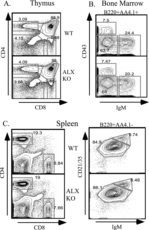 FIG. 2.