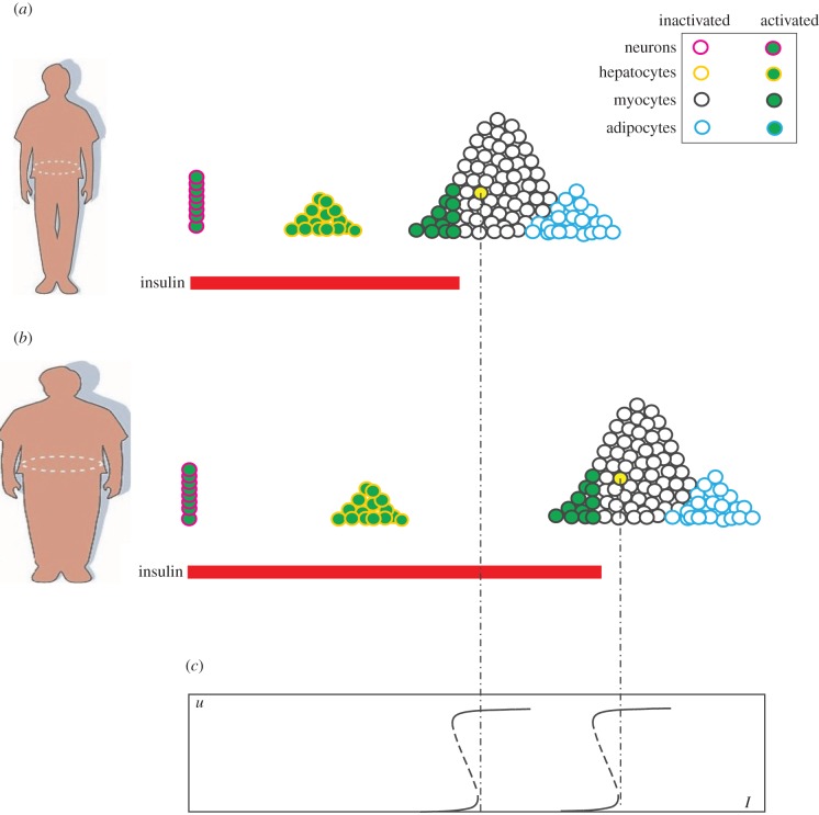 Figure 7.