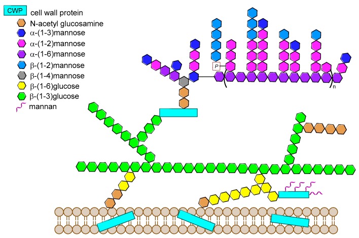 Figure 31