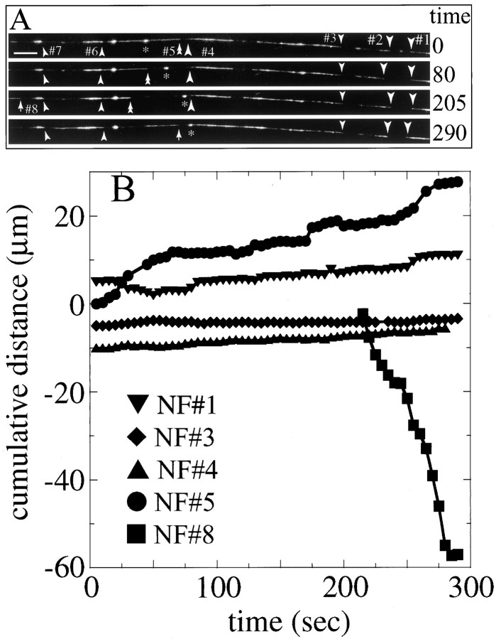 Fig. 10.