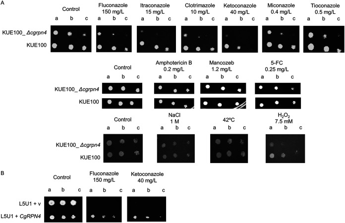 FIG 1