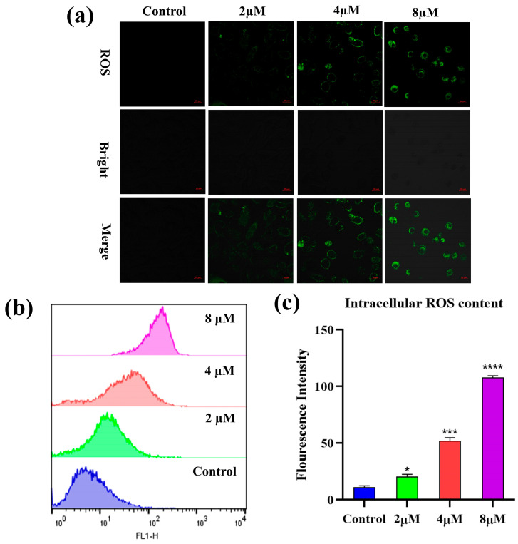 Figure 5