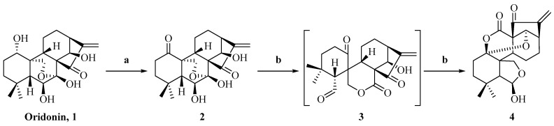 Scheme 1