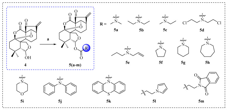 Scheme 2