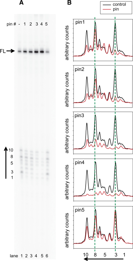 Figure 5.