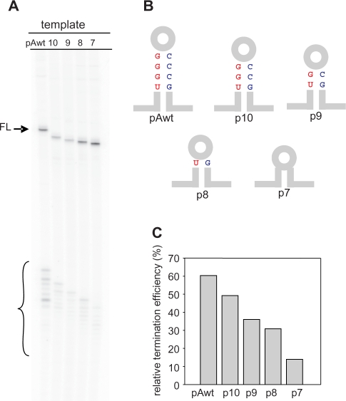 Figure 7.