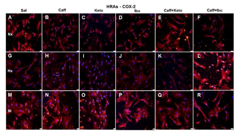 Figure 18